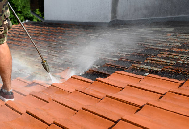 Roof Power Washing Services in Wakefield, NE